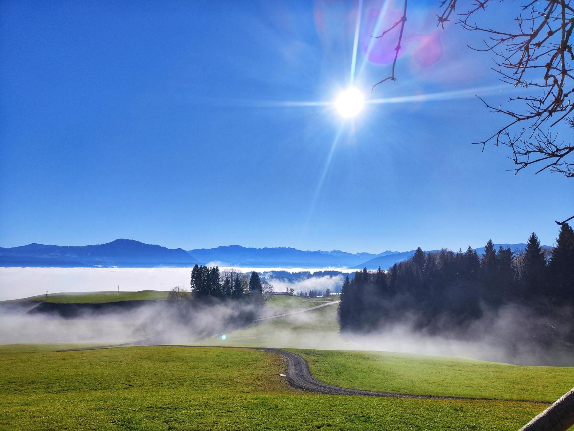 Alpseegruenten - Die Ferienwohnung Immenstadt im Allgäu Exterior photo